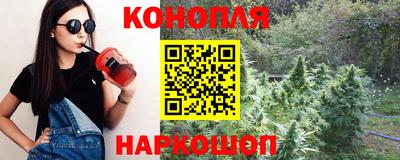 ГАЛЛЮЦИНОГЕННЫЕ ГРИБЫ Кандалакша