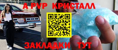 дурь Кингисепп