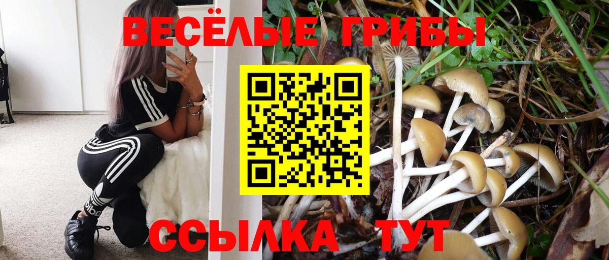 Псилоцибиновые грибы Cubensis  Вход с VPN  Лосино-Петровский 