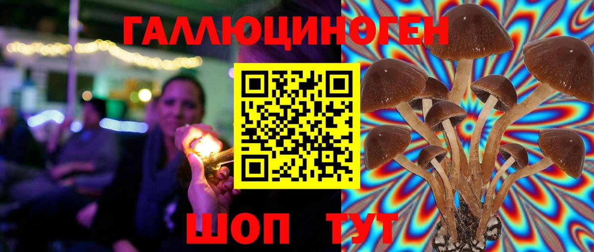 Галлюциногенные грибы Magic Shrooms Лосино-Петровский